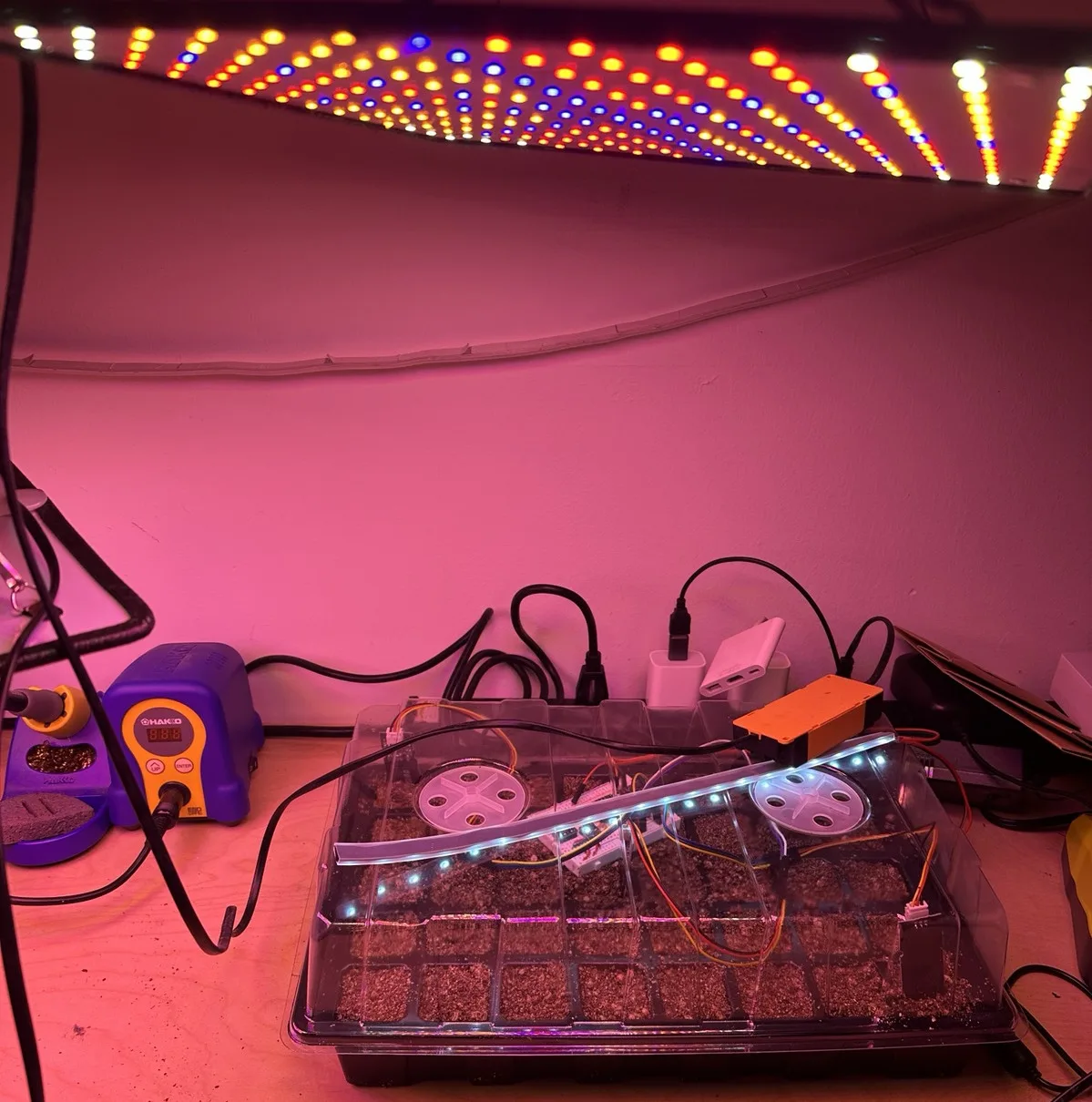 The seed tray under a large quantum-board grow light. The original LED strip,
which is much dimmer, still lies across the
dome.