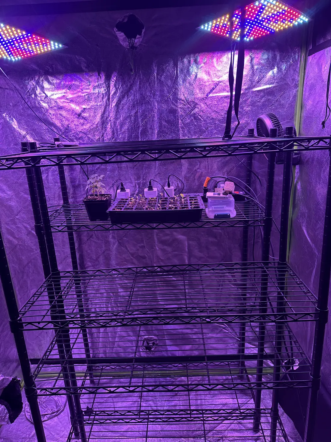 Closer view of the seedling tray, the ESP nodes and the control box beside it